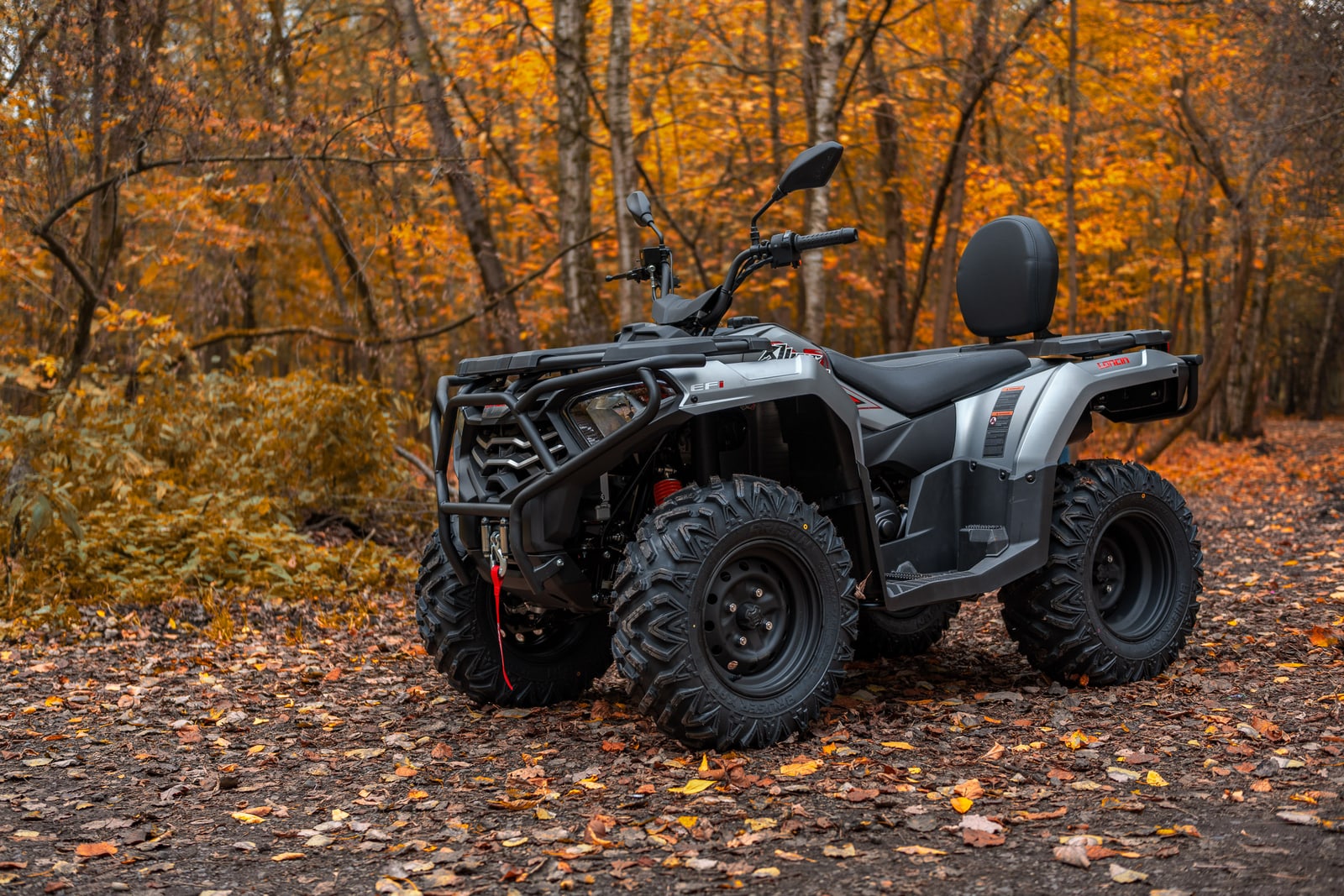 Loncin XWolf 300 Max в осеннем лесу, вид спереди