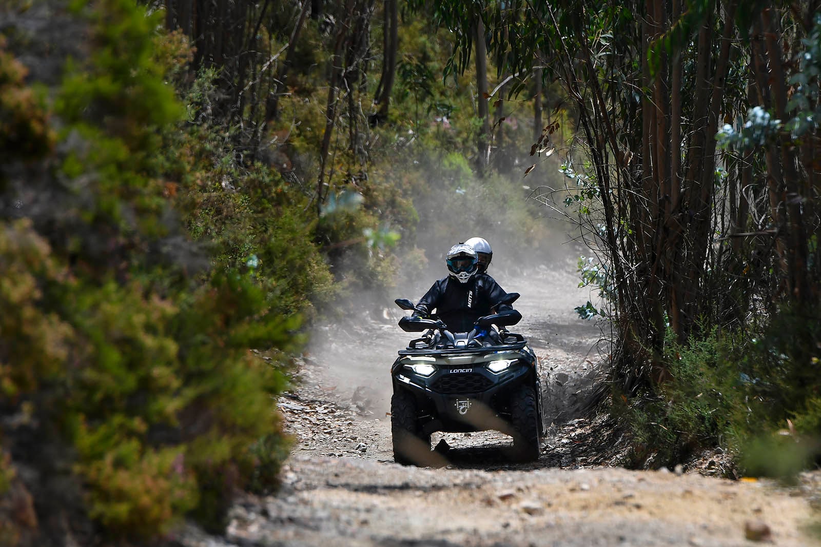 Loncin XWolf 550L на лесной трассе